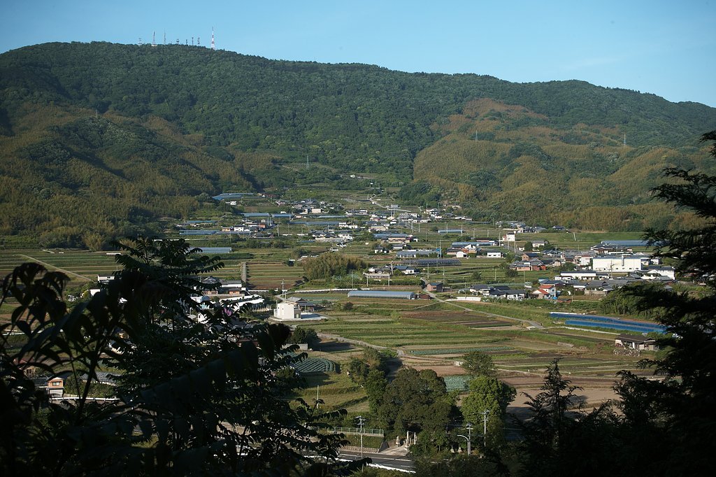 我がふる里の新緑
