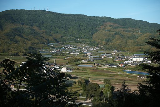 我がふる里の新緑
