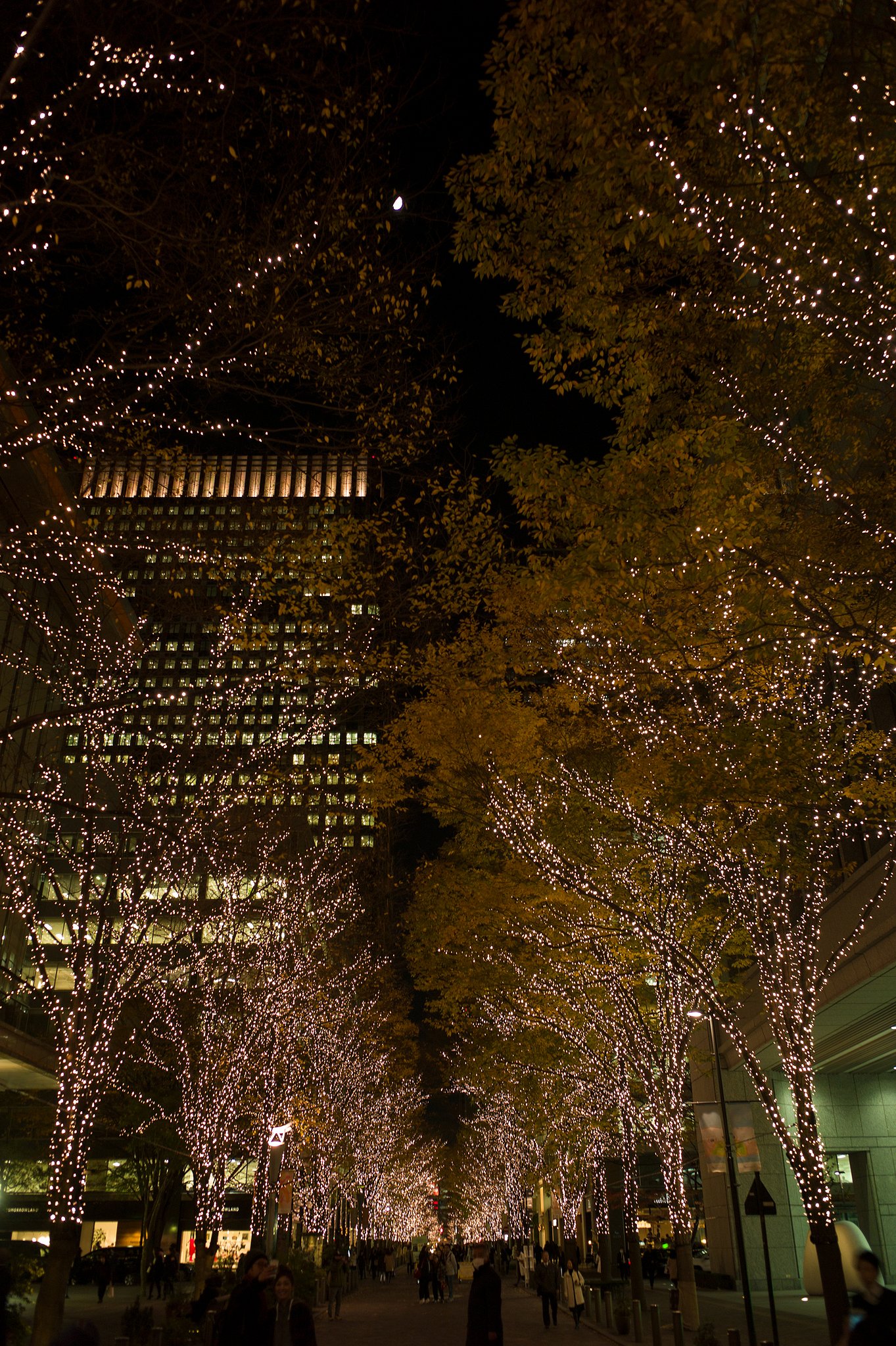 LEICA ELMARIT-M 28mm F2.8 ASPH