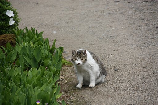 睨まないでね