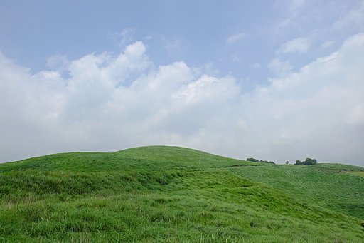 写真の日