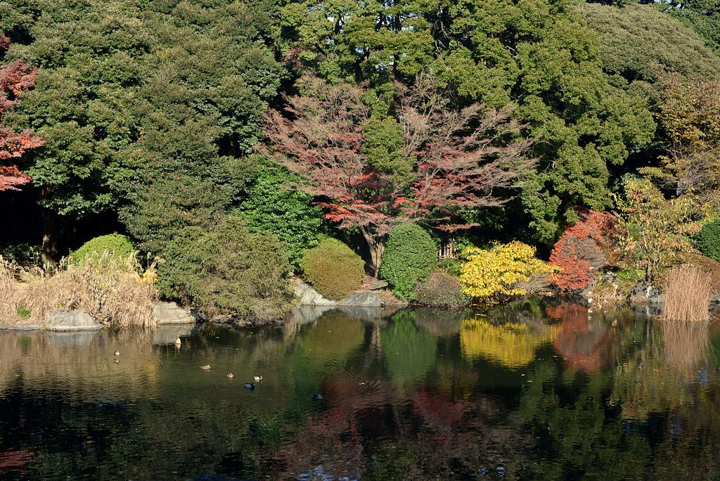 国立博物館の庭園風景