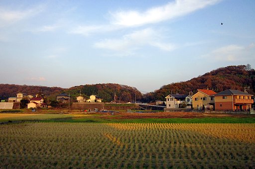 西日の晩秋