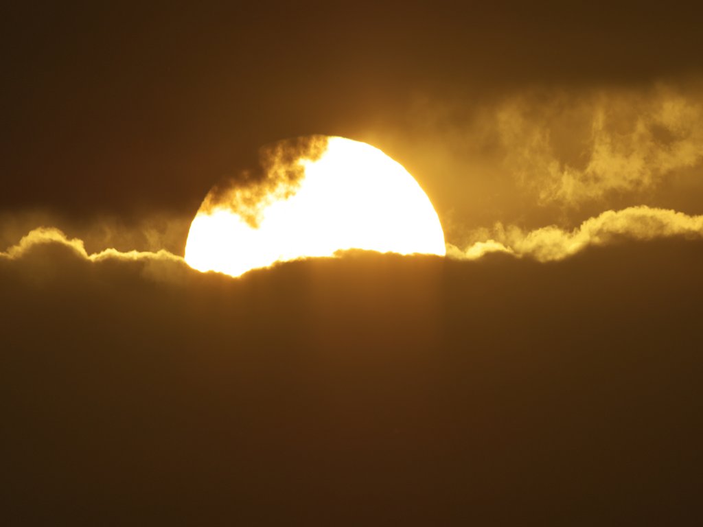 白い太陽