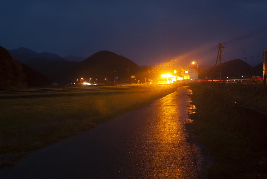 雨の中にみぞれが・・。