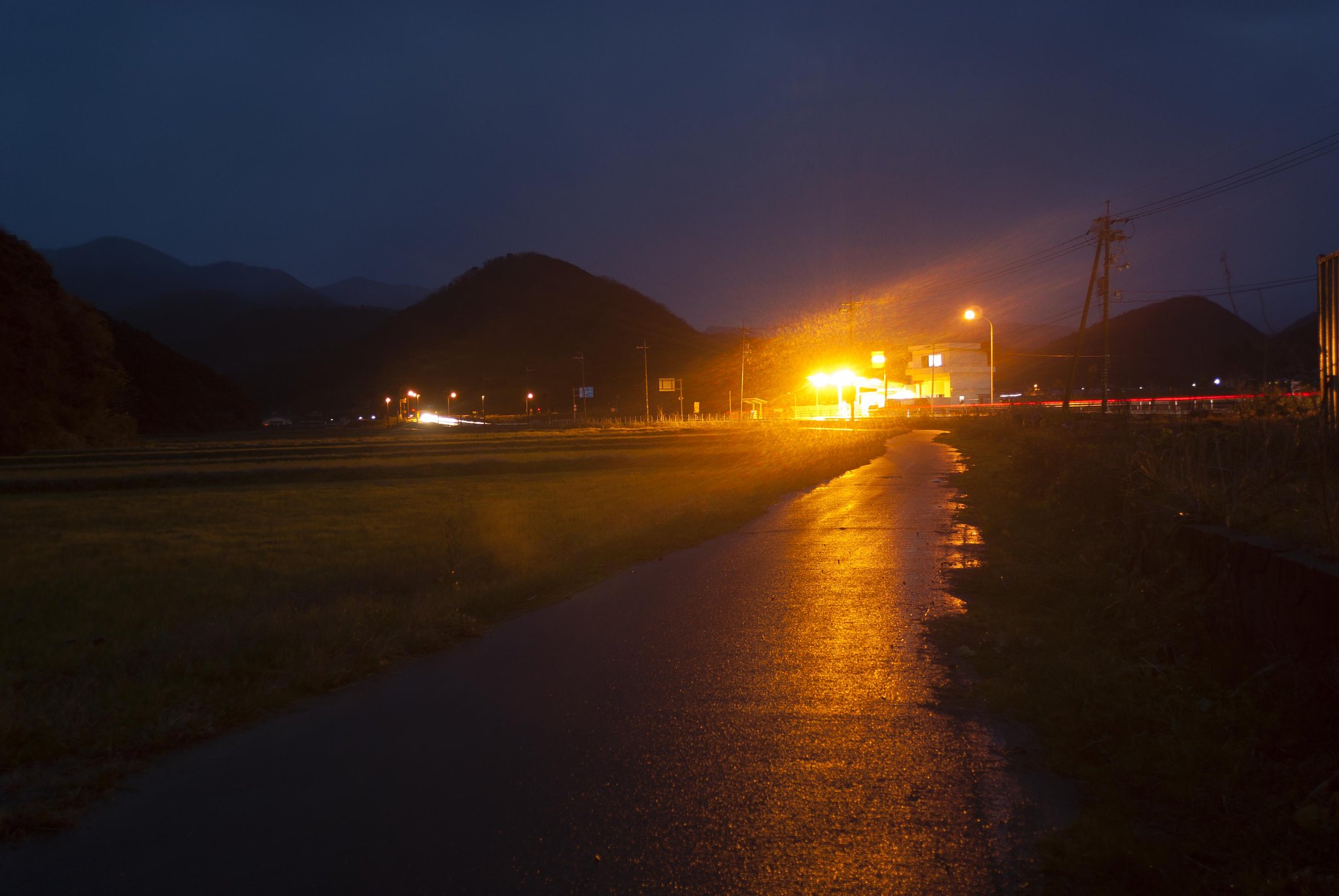 雨の中にみぞれが・・。