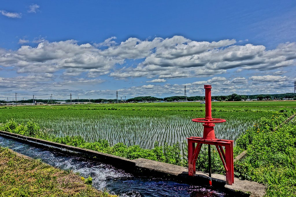 初夏の気分