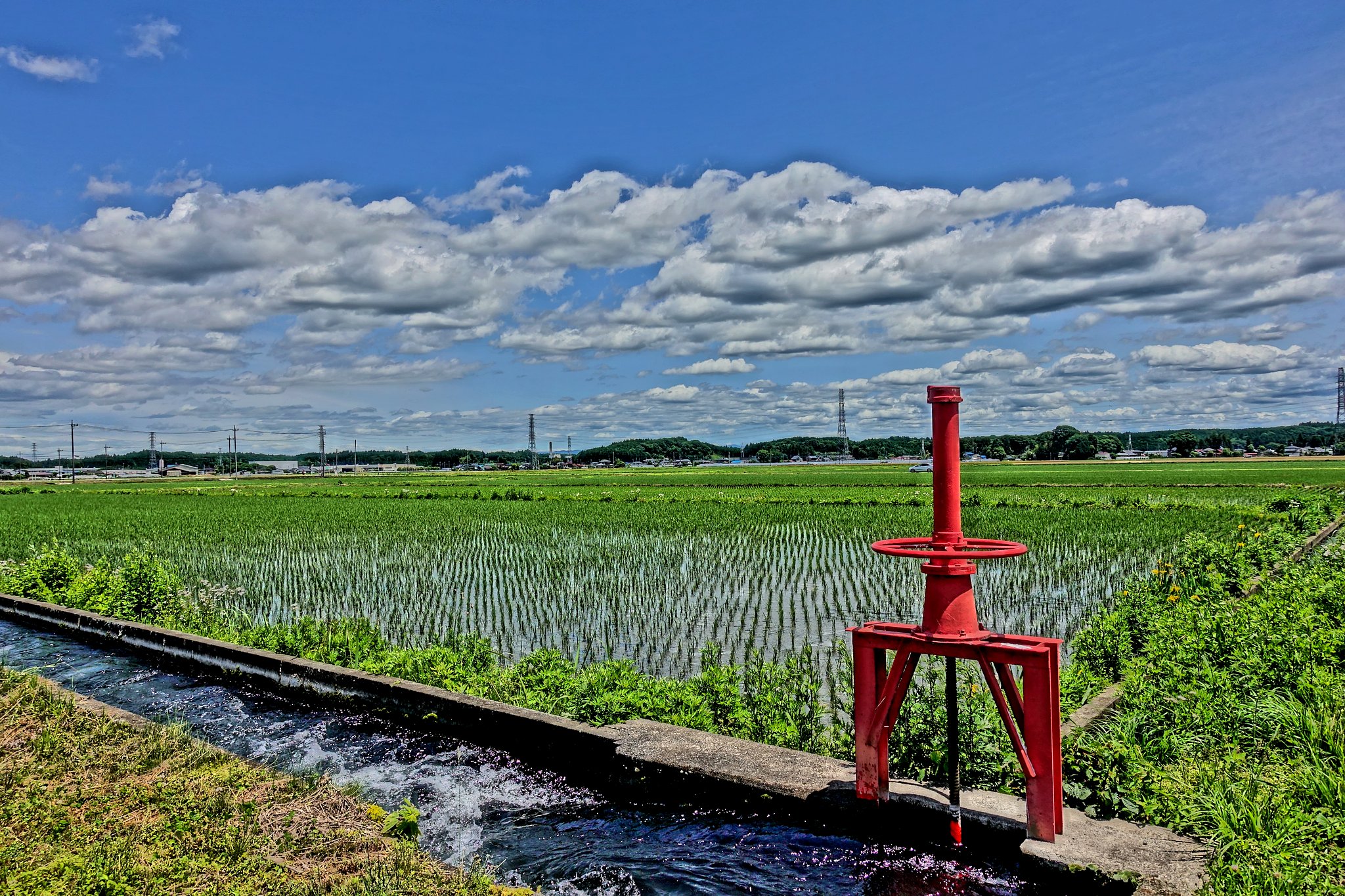 初夏の気分