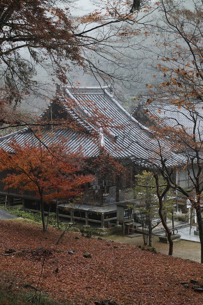 雨の山寺