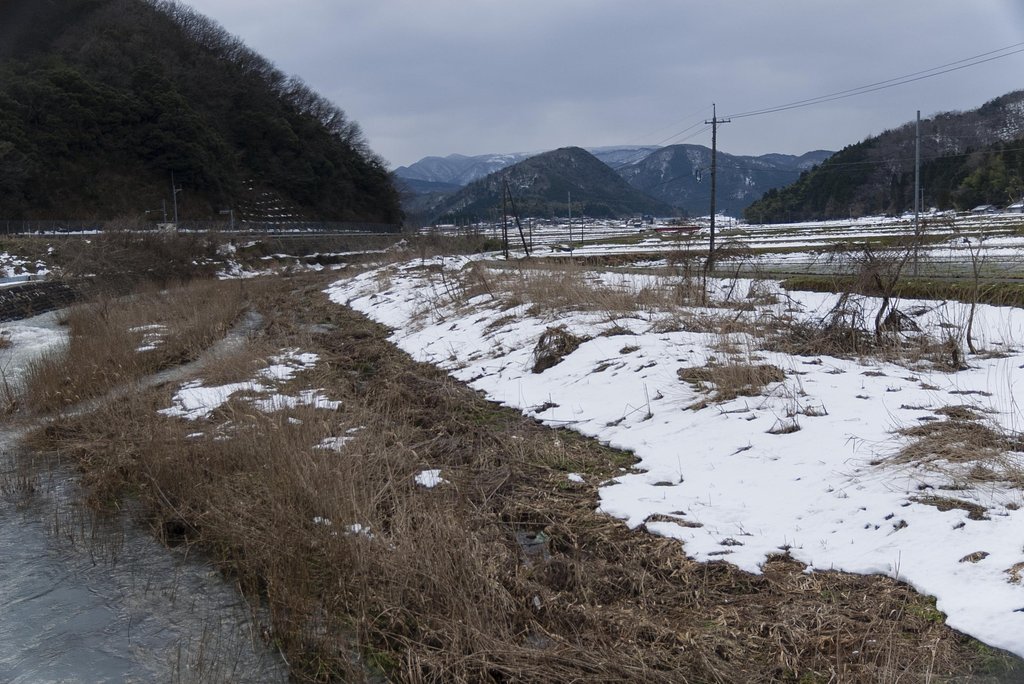 極稀にボタン雪！
