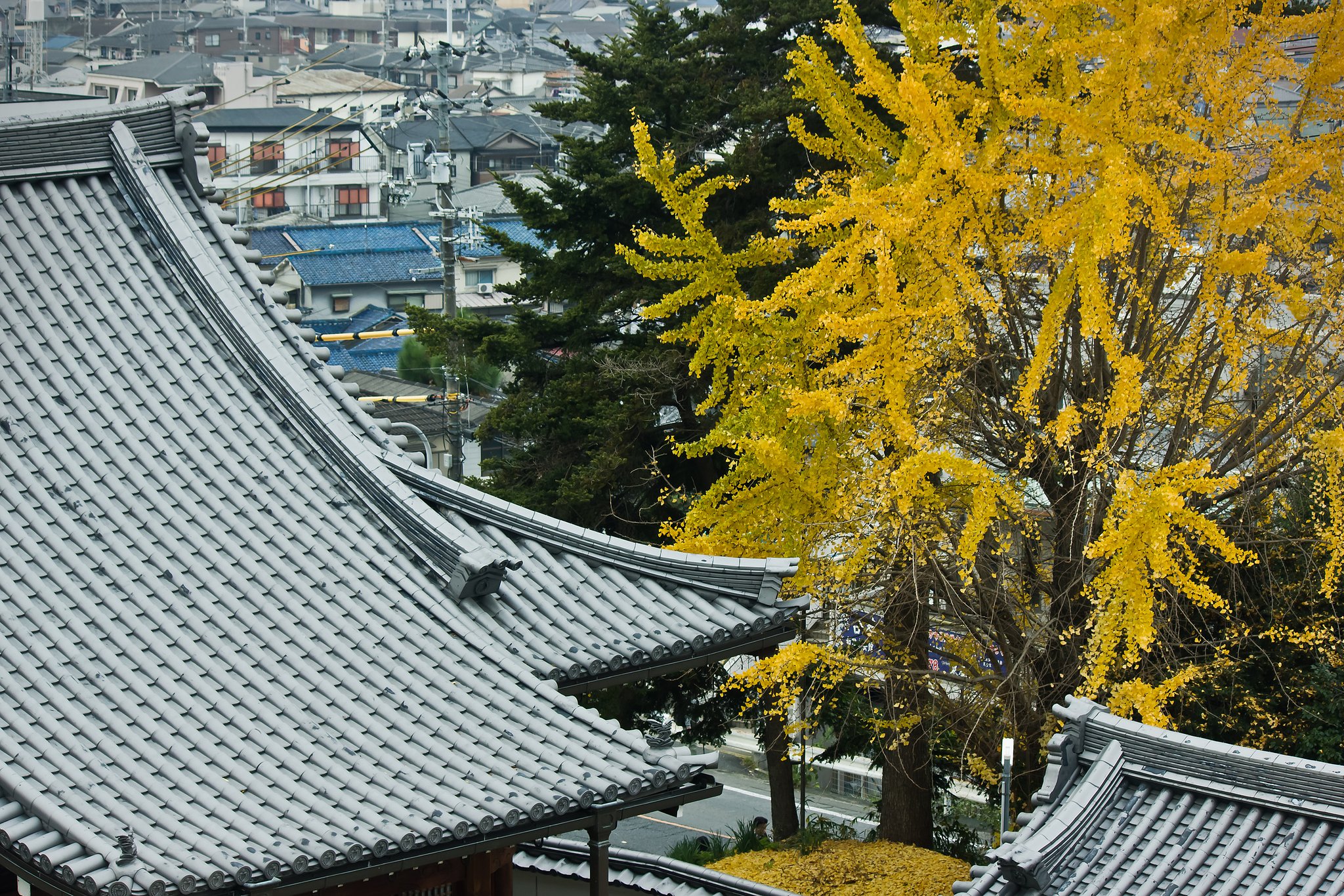 【寺社百景】山寺の今