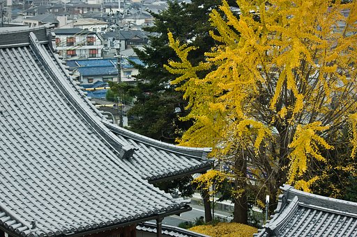 【寺社百景】山寺の今