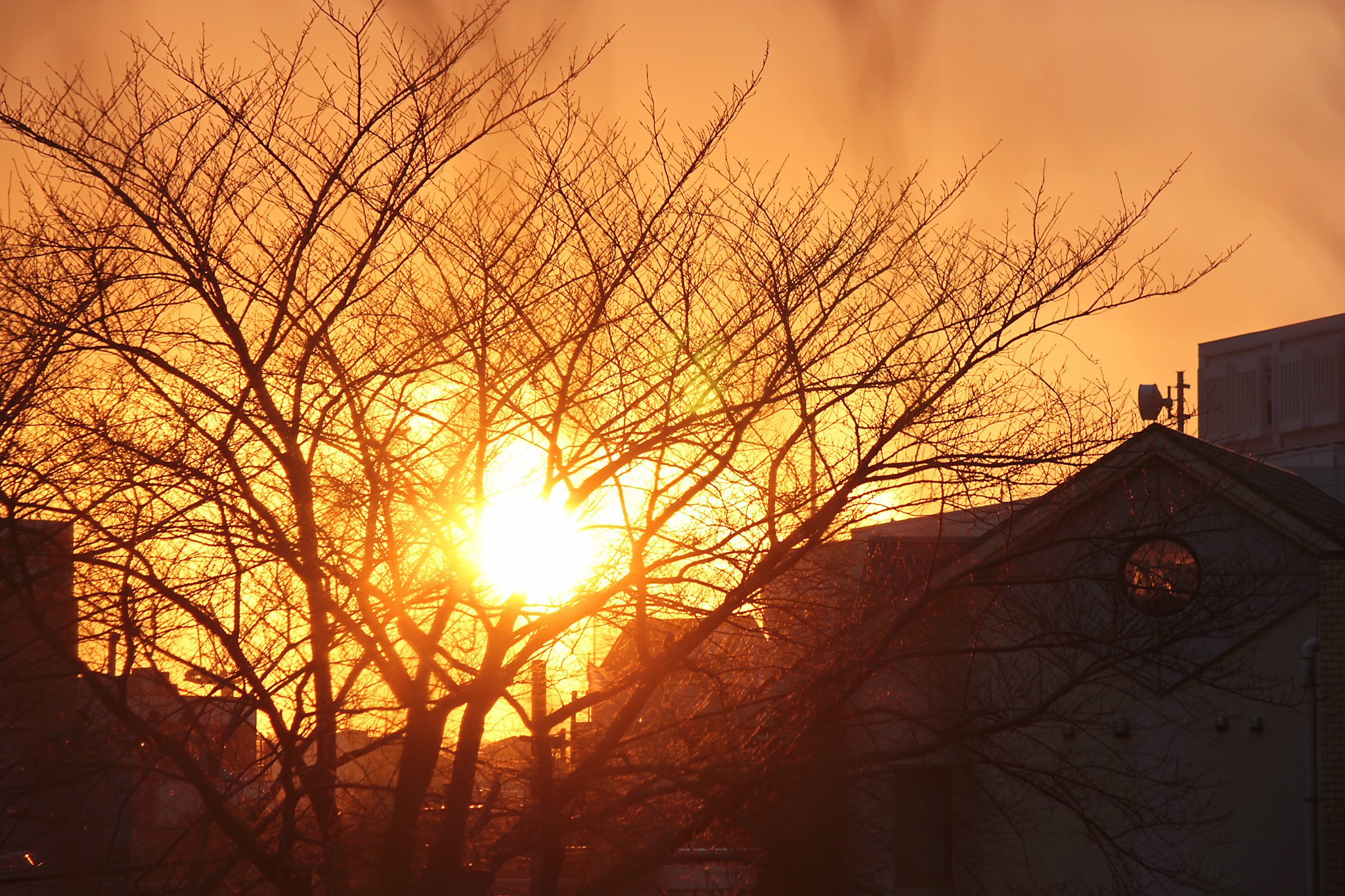 久々の夕日