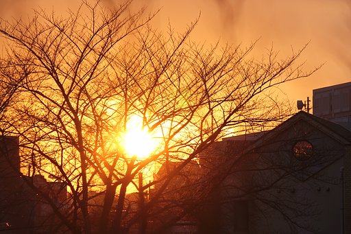 久々の夕日