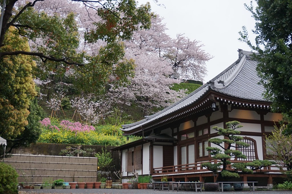 養源寺