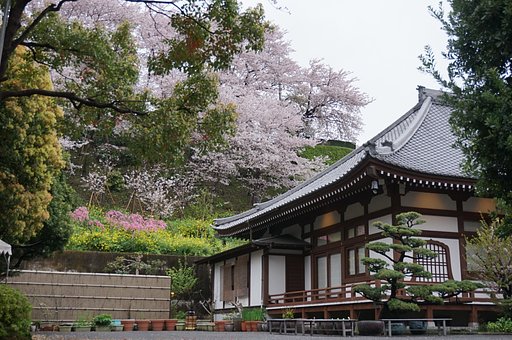 養源寺