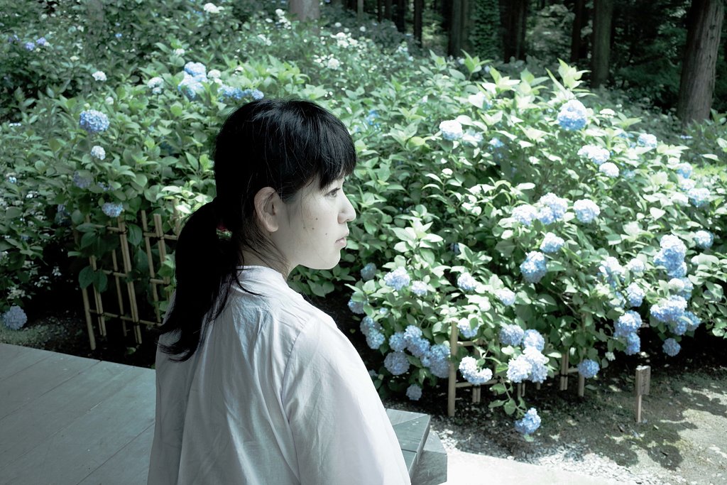 紫陽花と、カミさんと