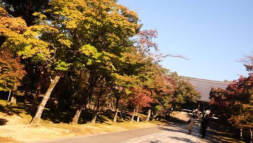 仁和寺 紅葉