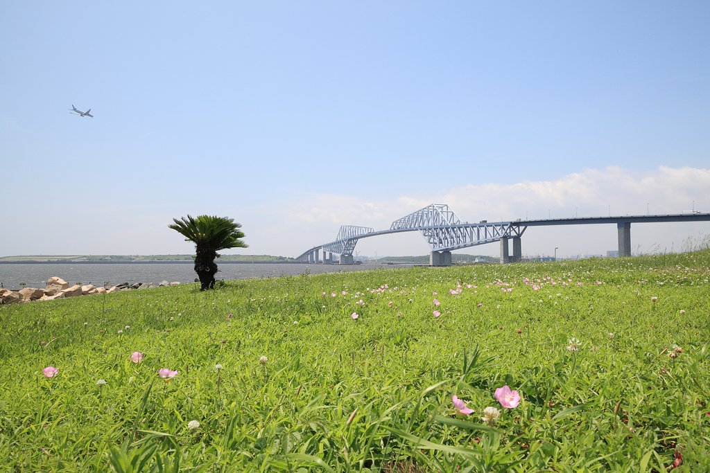 若洲公園腹這い親父
