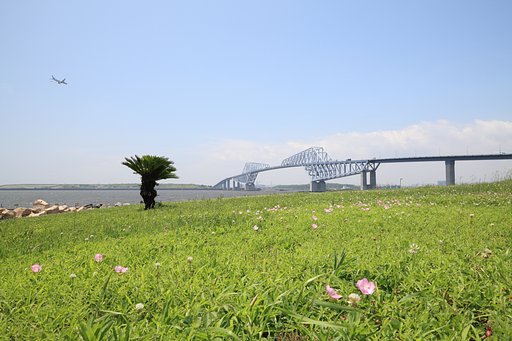 若洲公園腹這い親父