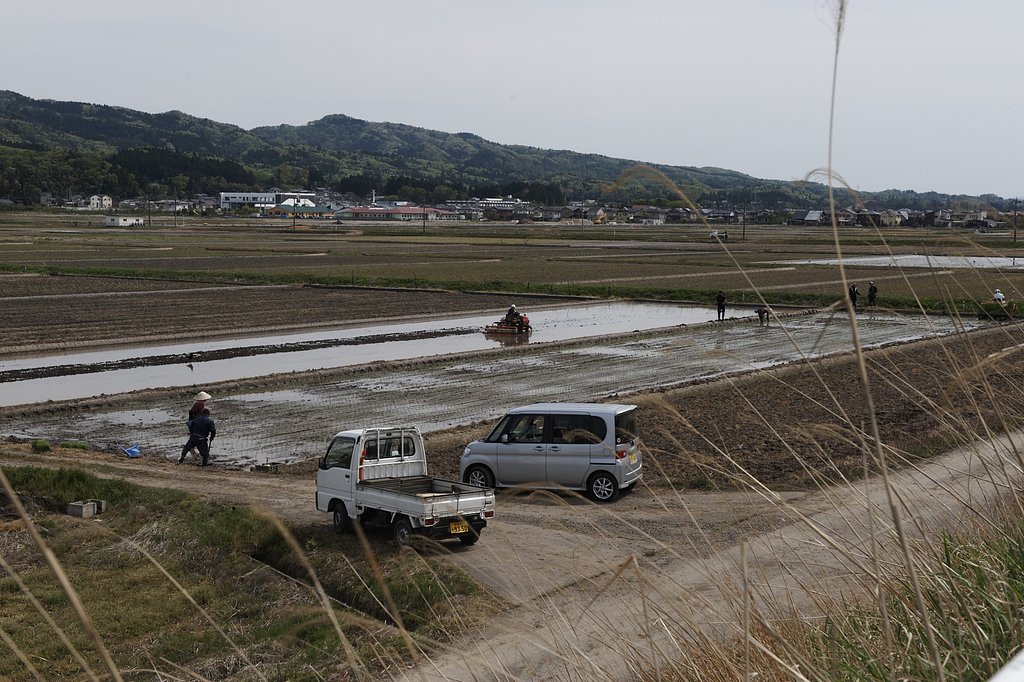 新潟平野
