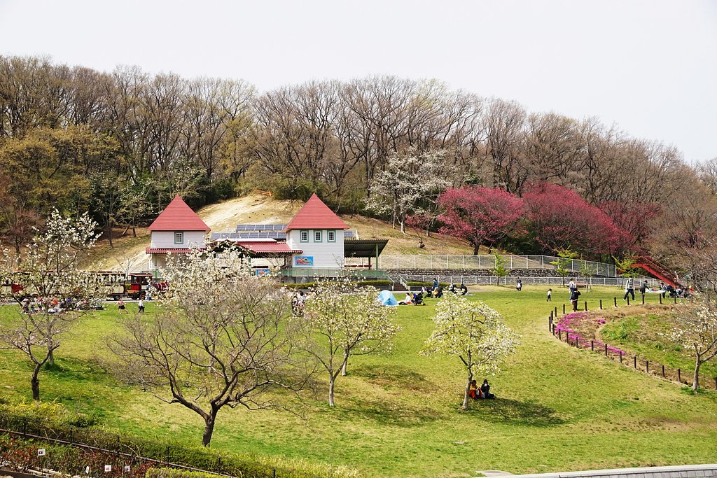 大空の下の花見、遠望