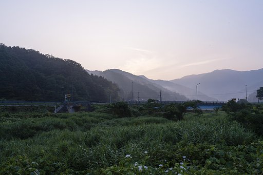 梅雨明け間近