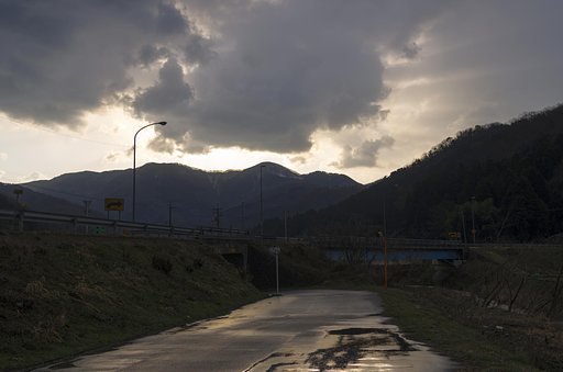 雨上がりの朝！