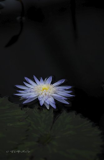 一番星