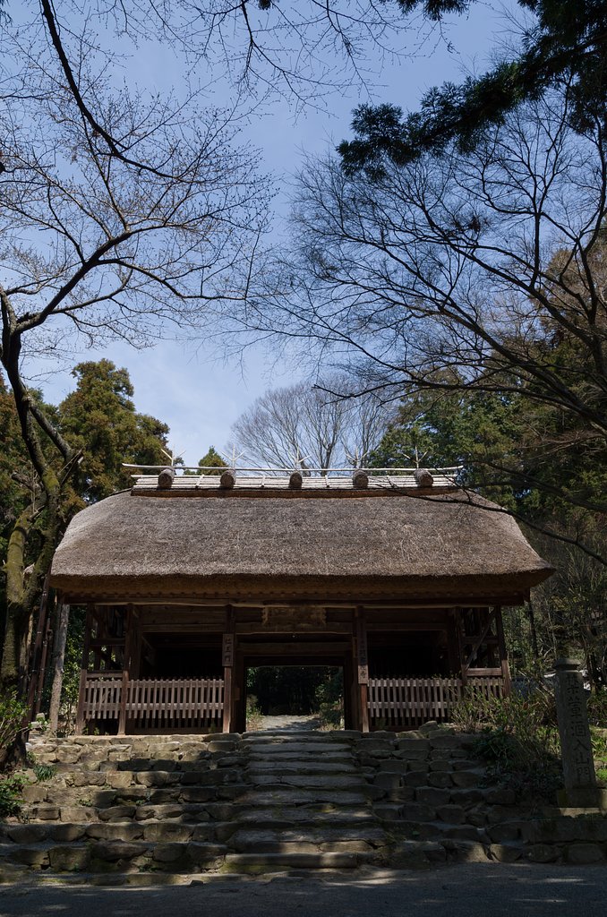 阿弥陀寺仁王門