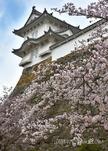 青空探し