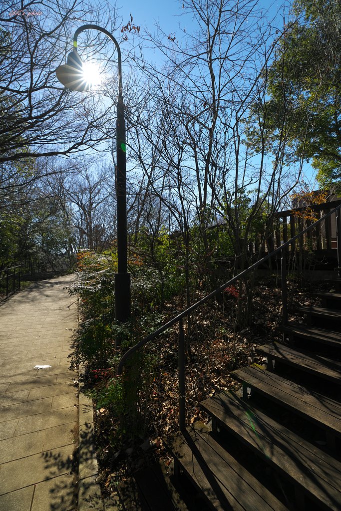 Vario zonner 16-35mm F2.8ZAⅡ