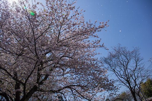 EF24-70mm F4 L IS