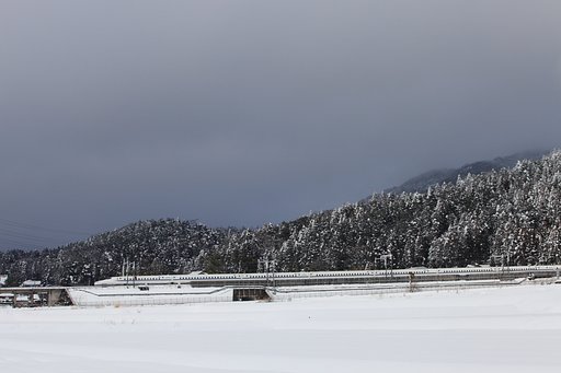 雪のため