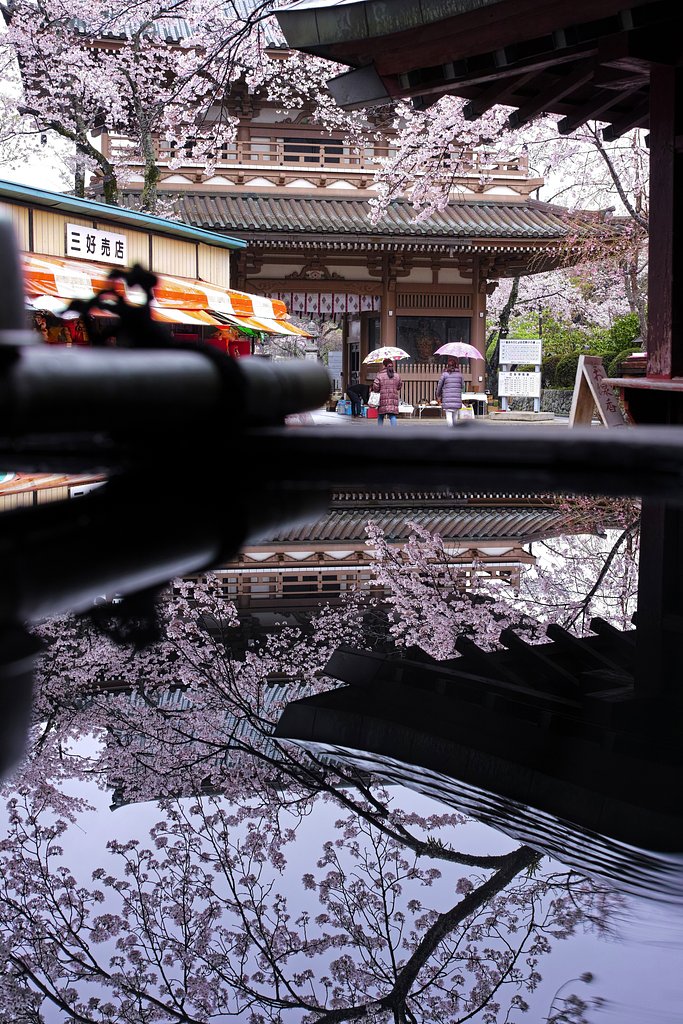 雨の宗吾霊堂