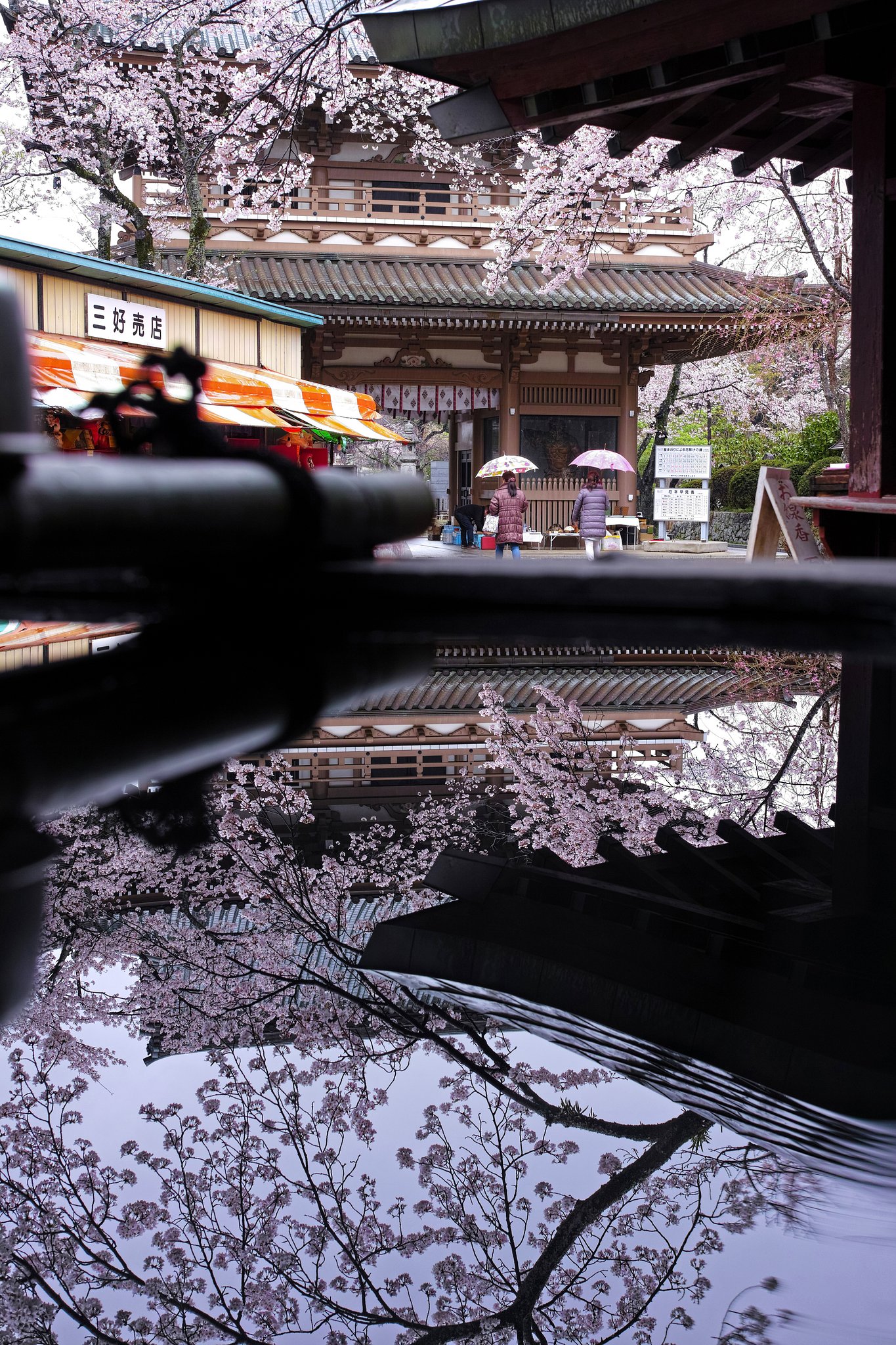 雨の宗吾霊堂