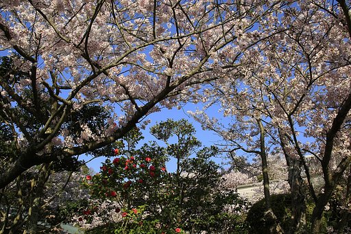 円城寺