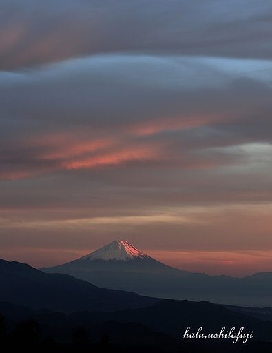 待つこと６時間
