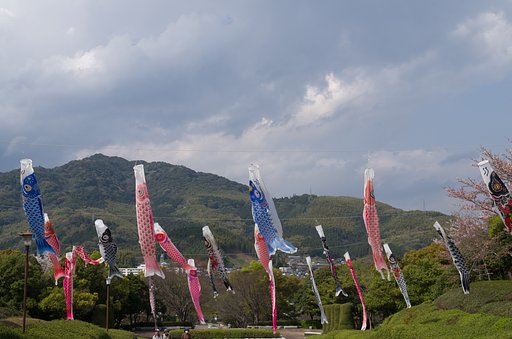 鯉のぼり