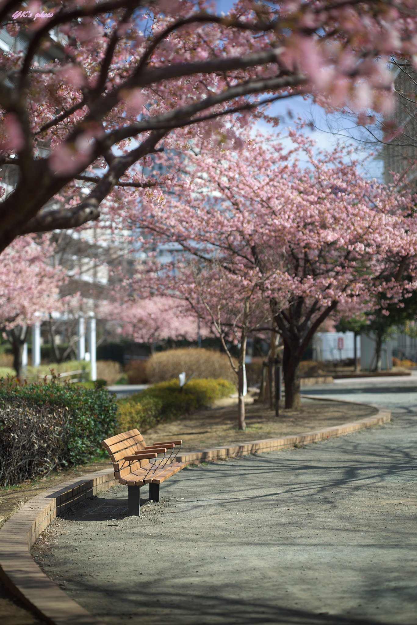 Otus 85mm F1.4 ZF2