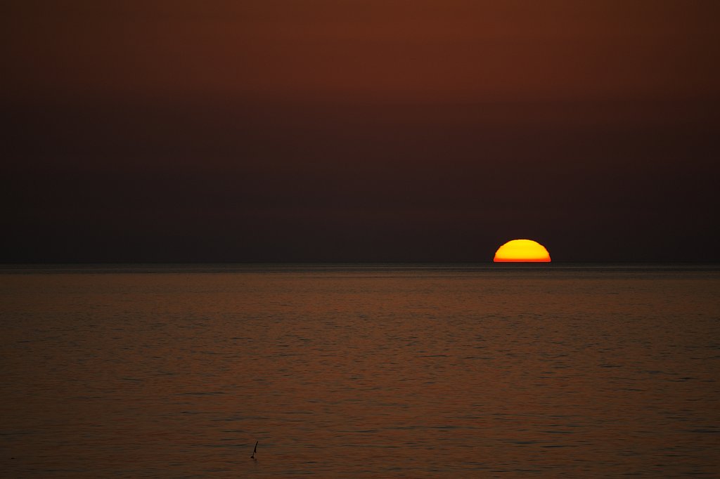 夕日