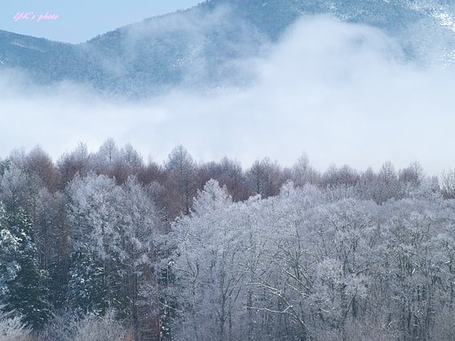ED 70-300mm F4-5.6