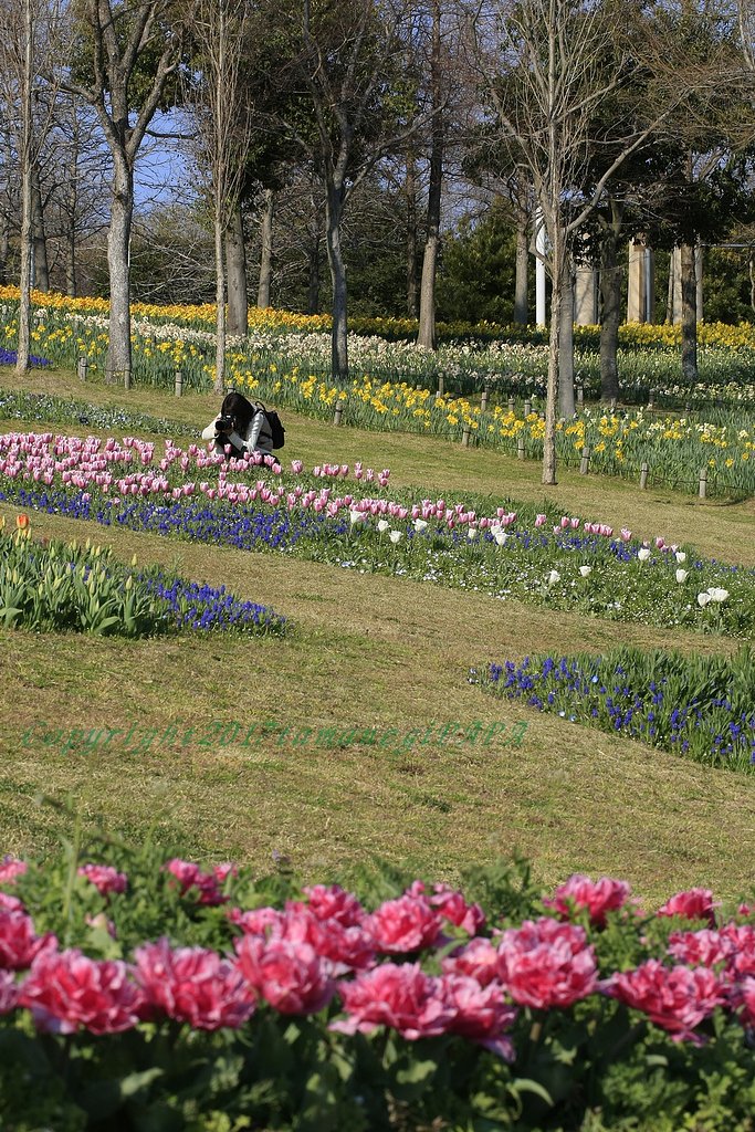 ハイアングル