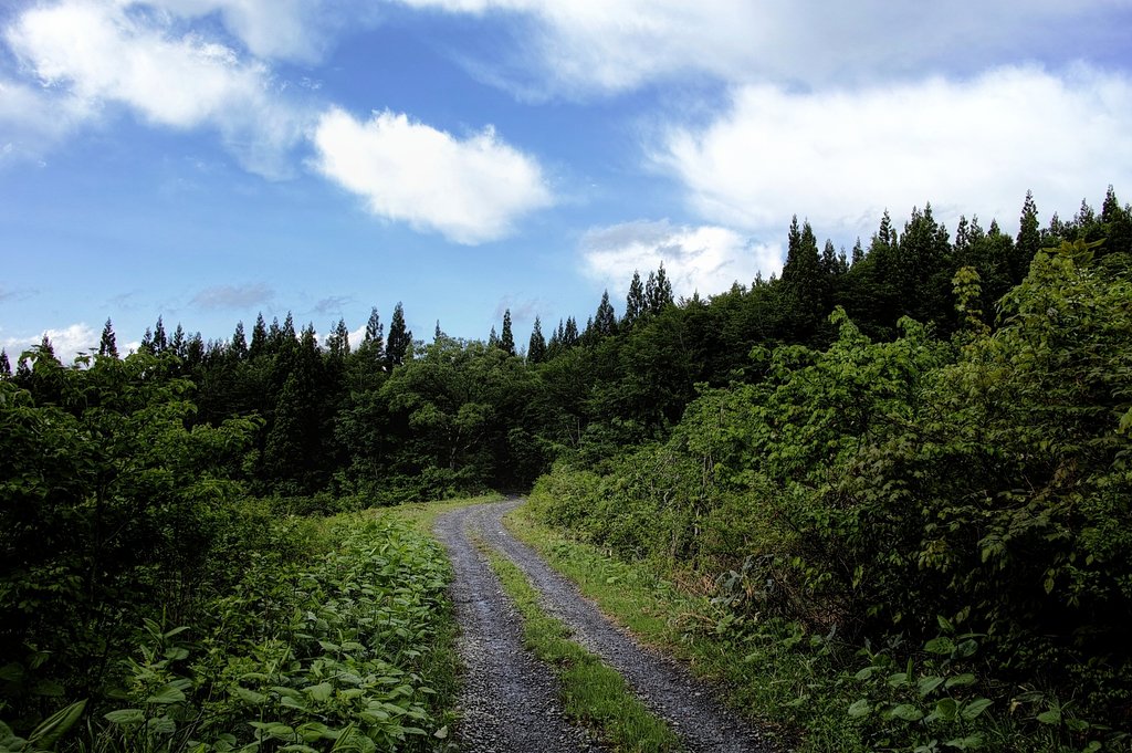 山道