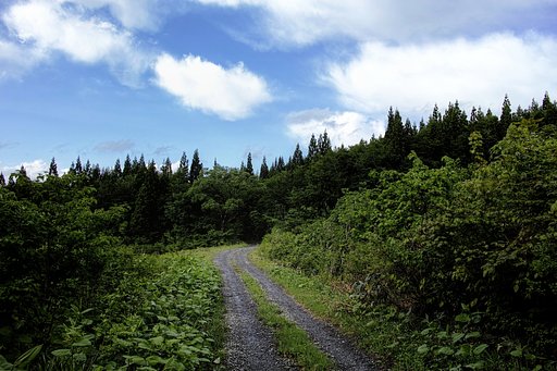 山道