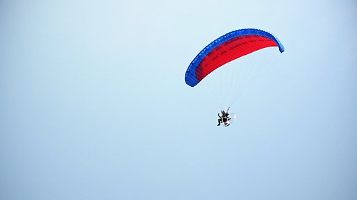 5月25日の写真