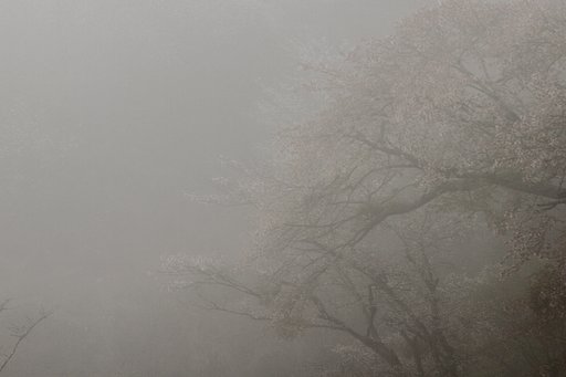 雨の吉野
