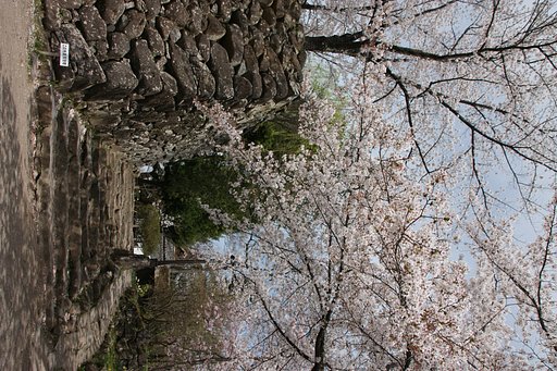 懐古園内