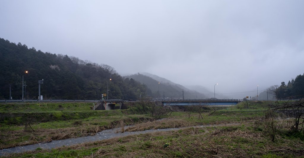 小雨の朝！