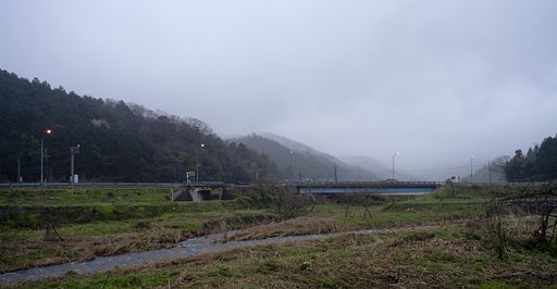 小雨の朝！